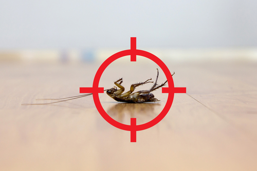 Dead cockroach on floor in red crosshairs