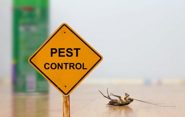 Dead cockroach on floor with caution sign pest control