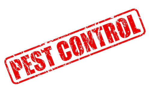 Red pest control sticker