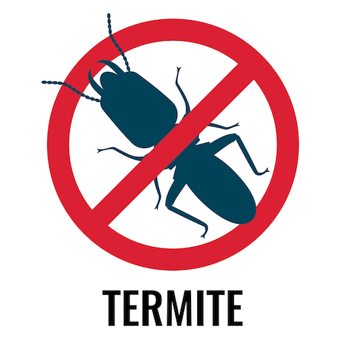 Termite in red anti termite circle