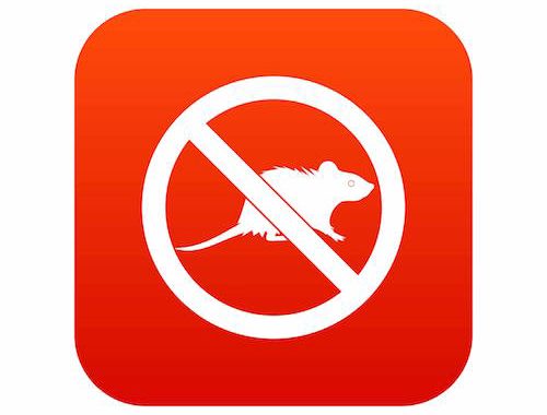 White Anti Rat image on orange square background